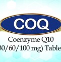 COQ-20231001115109