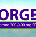Corges