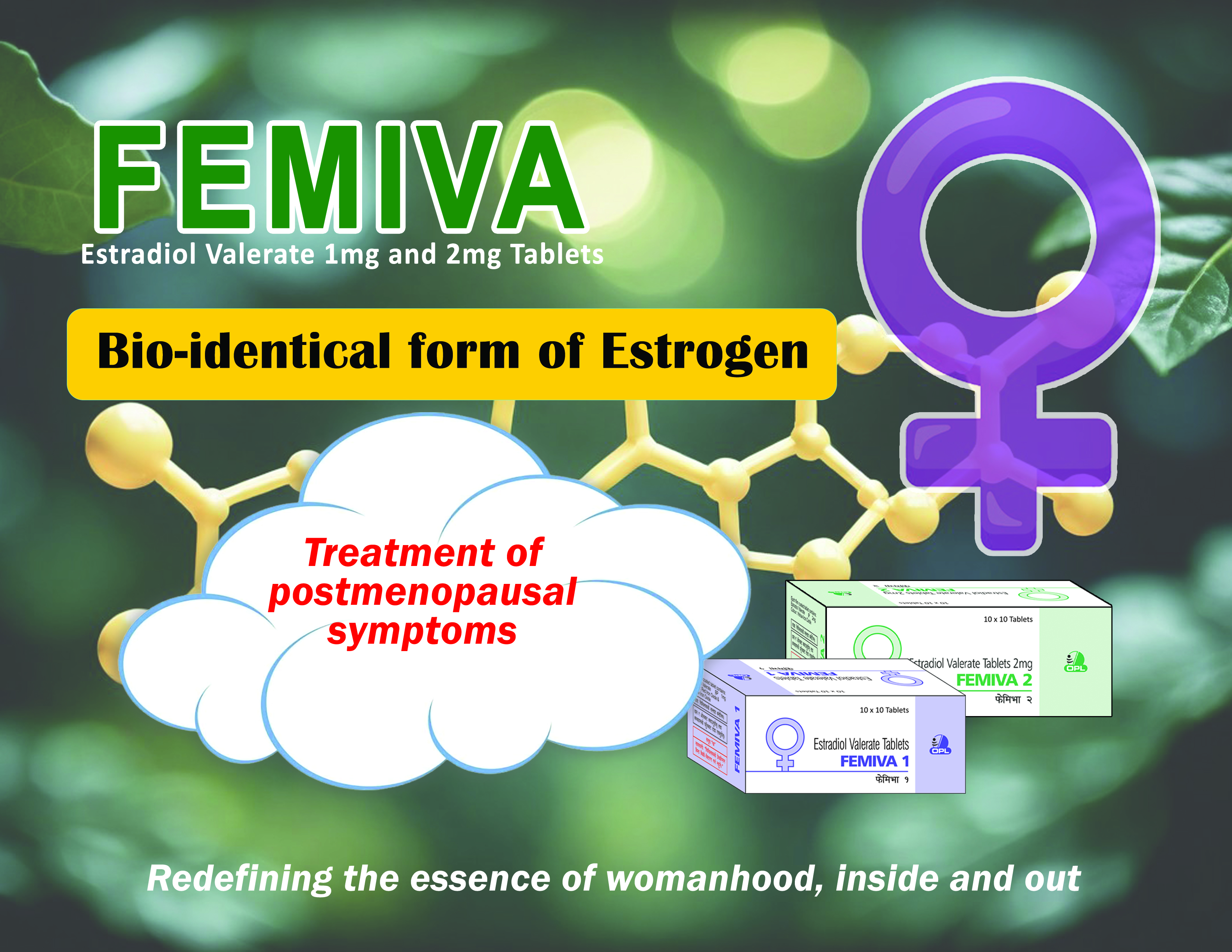 Femiva For Folder 1 st Page