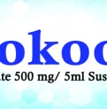 Sokool