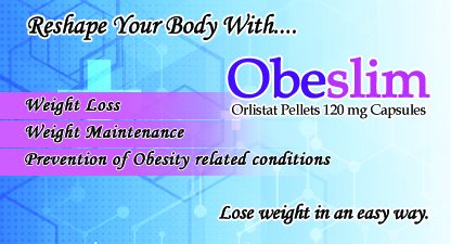 web page obeslim copy
